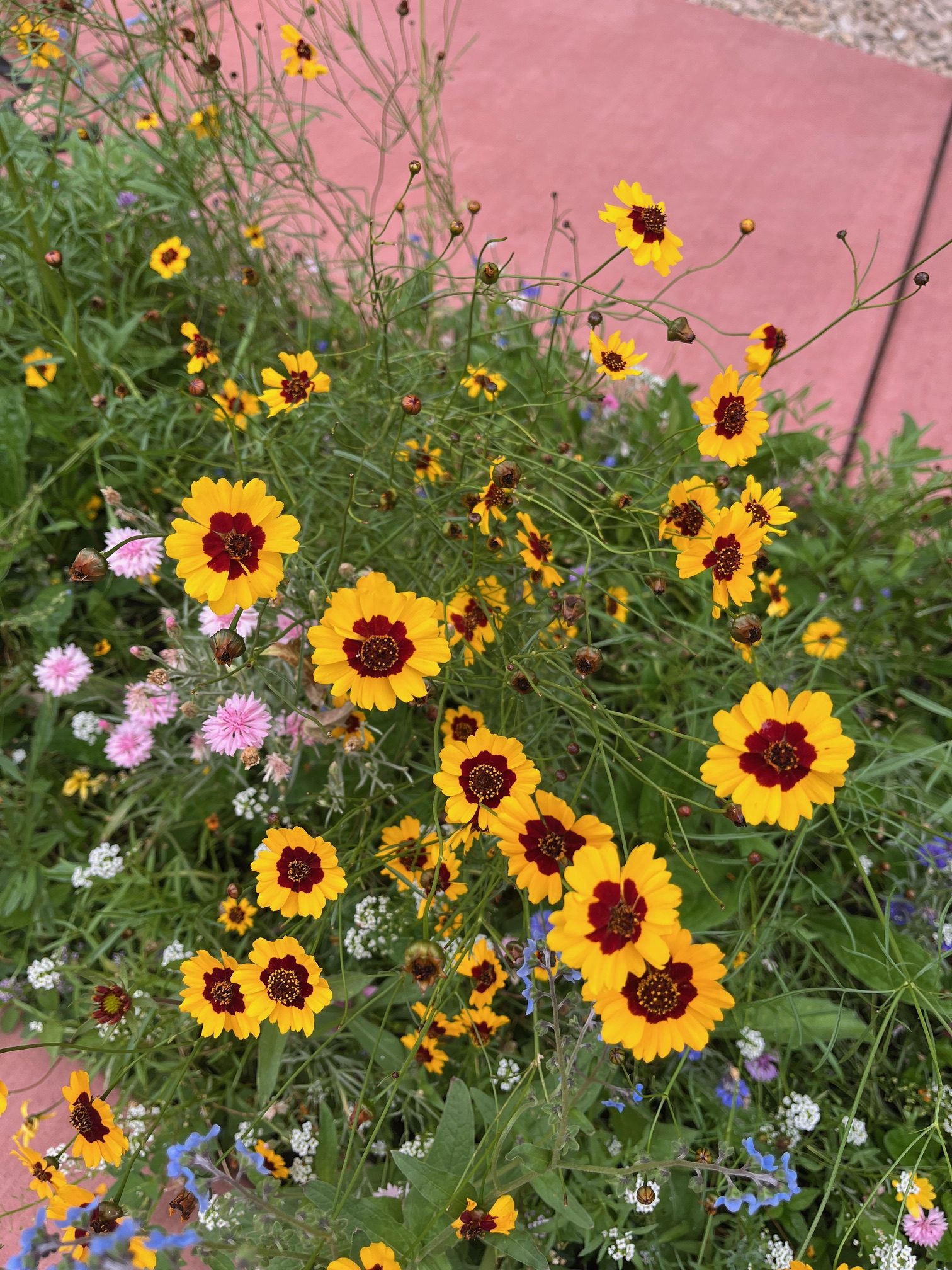 Inspirations and Getting Back